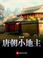 魔法师守城 作者：开心彩票