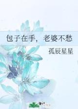 无限神镇 作者：c8彩票